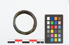 Foto von Bronzering (NHMW-PRAE-025607)